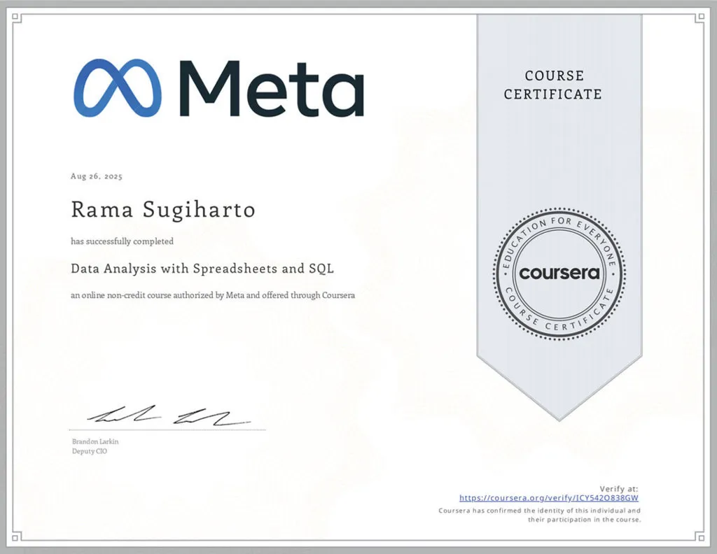 Data Analysis with Spreadsheets and SQL - Meta