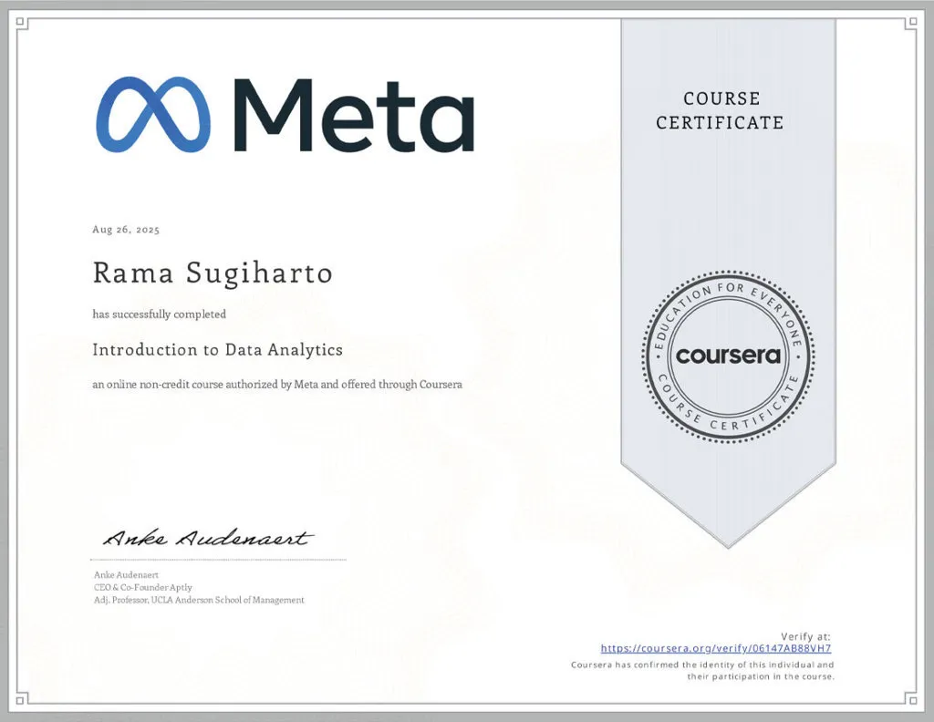 Introduction to Data Analytics - Meta